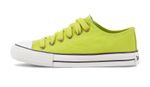 182-Dye-Fall-Palta