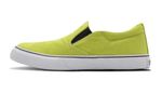 170-neo-dye-palta