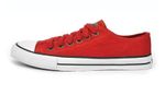 182-dye-fall-tomato