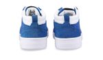 206-Path-025-Blue_4